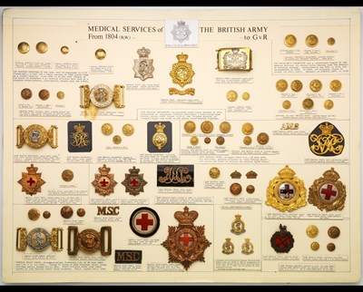 Lot 214 - Medical Staff and Services