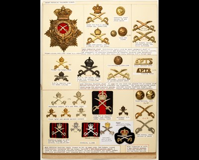 Lot 233 - Army Gymnastic Staff and PT Corps Insignia