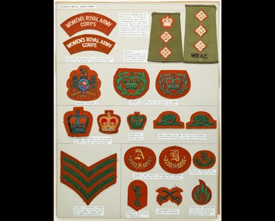 Lot 238 - Womens' Services Insignia.