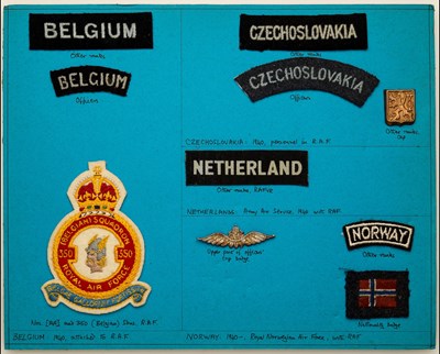 Lot 406 - Insignia of Commonwealth, Allied and Expatriate personnel serving in the Royal Air Force