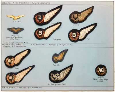Lot 415 - Royal Air Force Pilots Brevets 1940s-1990s.