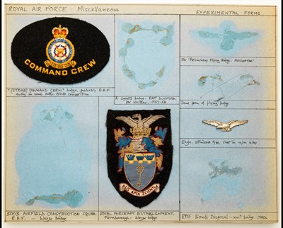 Lot 416 - Royal Air Force flying suit and Royal Aircraft Establishment blazer badges.
