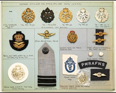 Lot 419 - Royal Air Force and Princess Mary's RAF Nursing Service insignia.