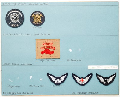 Lot 423 - Royal Air Force Trade and Skills Insignia.