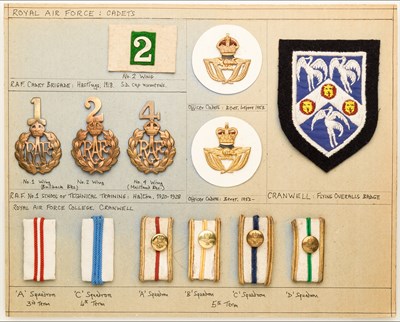 Lot 425 - Royal Air Force Apprentice Insignia (Technical Training Schools) and Officer Cadet uniform