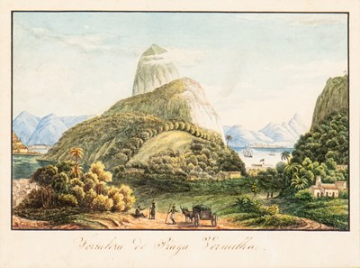 Lot 15 - BRAZILIAN SCHOOL (19TH CENTURY)
