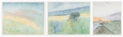 Lot 269 - DONALD  WILKINSON (BRITISH B.1937)