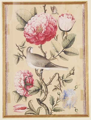 Lot 350 - â€¡A QAJAR PAINTING OF GUL-O-BULBUL