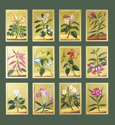Lot 377 - A GROUP OF BOTANICAL PAINTINGS