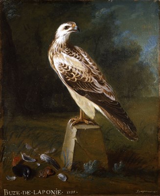 Lot 12 - NICOLAS SPHEYMAN (DIED BEFORE 1751)