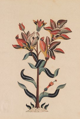 Lot 74 - COMPANY SCHOOL (19th CENTURY)