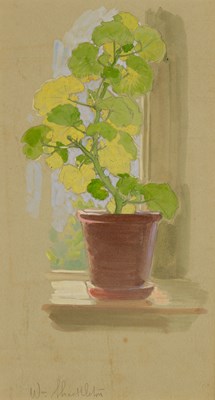 Lot 178 - WILLIAM SHACKLETON