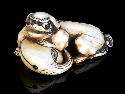 Lot 148 - A JAPANESE IVORY NETSUKE OF A SHISHI