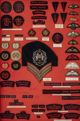 Lot 351 - A LARGE GROUP OF ROYAL MARINES AND OTHER BADGES