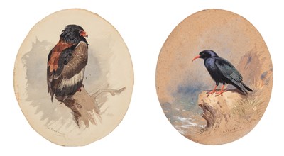 Lot 25 - ARCHIBALD  THORBURN  (SCOTTISH 1860-1935)