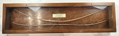 Lot 1 - TWO ANCIENT EGYPTIAN BOWS, PROBABLY MIDDLE KINGDOM CIRCA 2000 B.C., AND THREE STONE ARROWHEADS