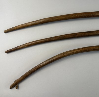 Lot 564 - THREE AFRICAN BOWS, 19TH/EARLY 20TH CENTURY