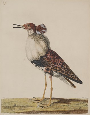 Lot 11 - WILLIAM HAYES (BRITISH 1729-1799)