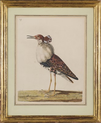 Lot 11 - WILLIAM HAYES (BRITISH 1729-1799)