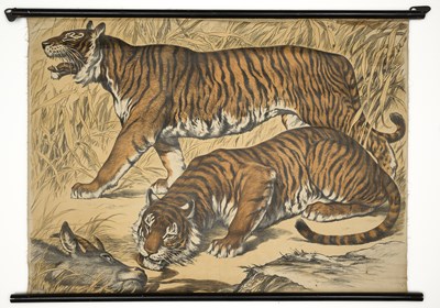 Lot 578 - AN EDUCATIONAL POSTER DEPICTING BENGAL TIGERS, SCHREIBER, ESSINGEN AND MUNICH, GERMANY, CIRCA 1920