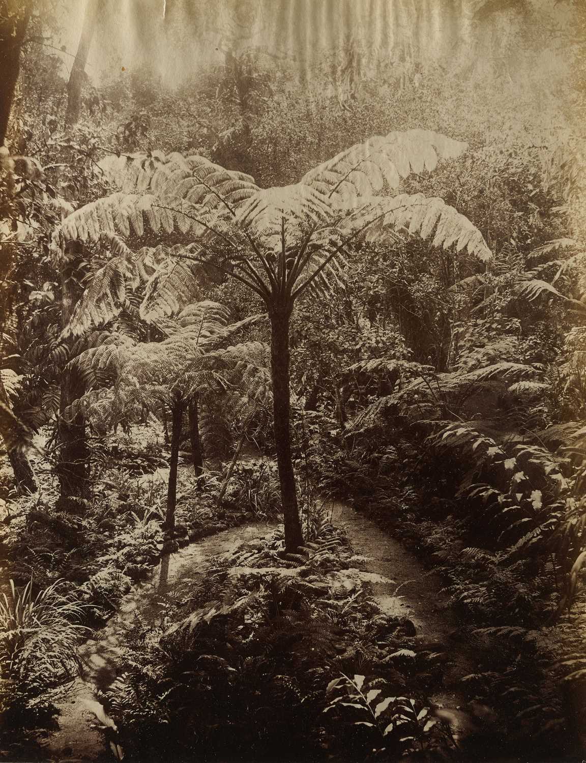 Lot 523 - A MISCELLANEOUS COLLECTION OF PHOTOGRAPHS OF COLONIAL CEYLON (SRI LANKA), MOSTLY 19TH CENTURY
