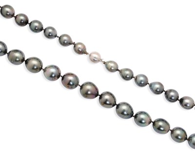 Lot 736 - SOUTH SEA CULTURED PEARL NECKLACE