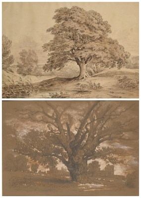 Lot 433 - WILLIAM ALFRED DELAMOTTE (BRITISH 1775-1863)