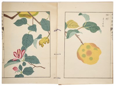 Lot 147 - HONZO ZUFU, AN EXTREMELY RARE COMPLETE SET BY IWASAKI TSUNEMASA, JAPAN, 1921