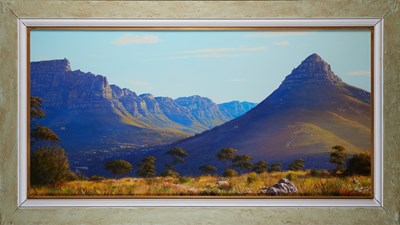 Lot 37 - ANDREW COOPER (SOUTH AFRICAN B.1967)