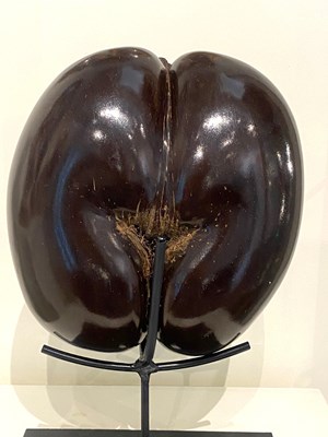 Lot 77 - A COCO DE MER (LODOICEA MALDIVICA), SEYCHELLES, 20TH CENTURY
