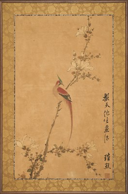 Lot 135 - CHINESE SCHOOL, A CRESTED LONG-TAILED BIRD, QING DYNASTY, 19TH CENTURY