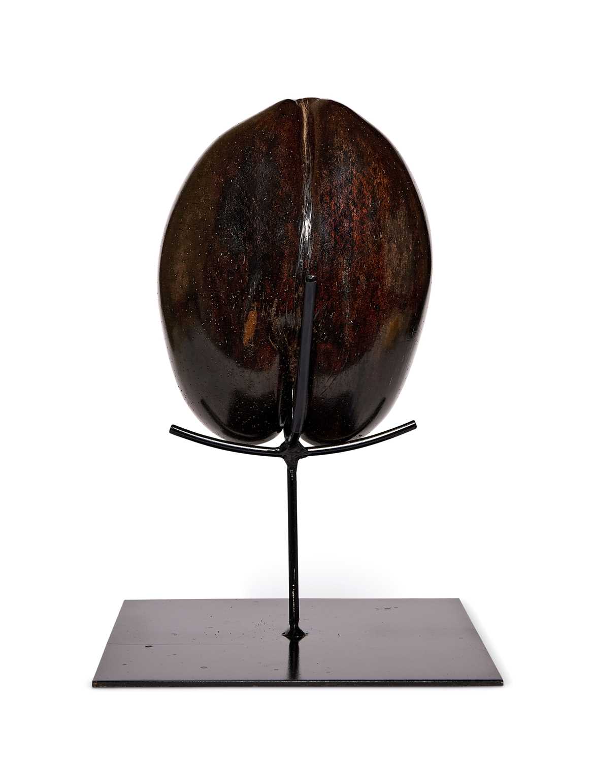 Lot 78 - A COCO DE MER (LODOICEA MALDIVICA), SEYCHELLES, 20TH CENTURY
