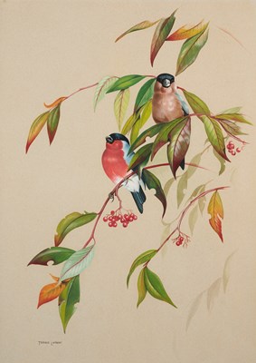 Lot 496 - TERENCE LAMBERT (BRITISH B.1951)