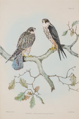 Lot 402 - WILLIAM BRODRICK (BRITISH 1814-1888)