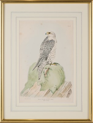Lot 402 - WILLIAM BRODRICK (BRITISH 1814-1888)