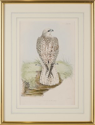 Lot 402 - WILLIAM BRODRICK (BRITISH 1814-1888)