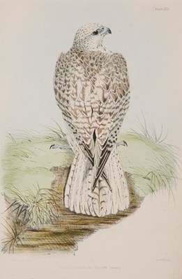 Lot 402 - WILLIAM BRODRICK (BRITISH 1814-1888)