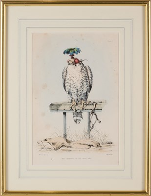 Lot 402 - WILLIAM BRODRICK (BRITISH 1814-1888)