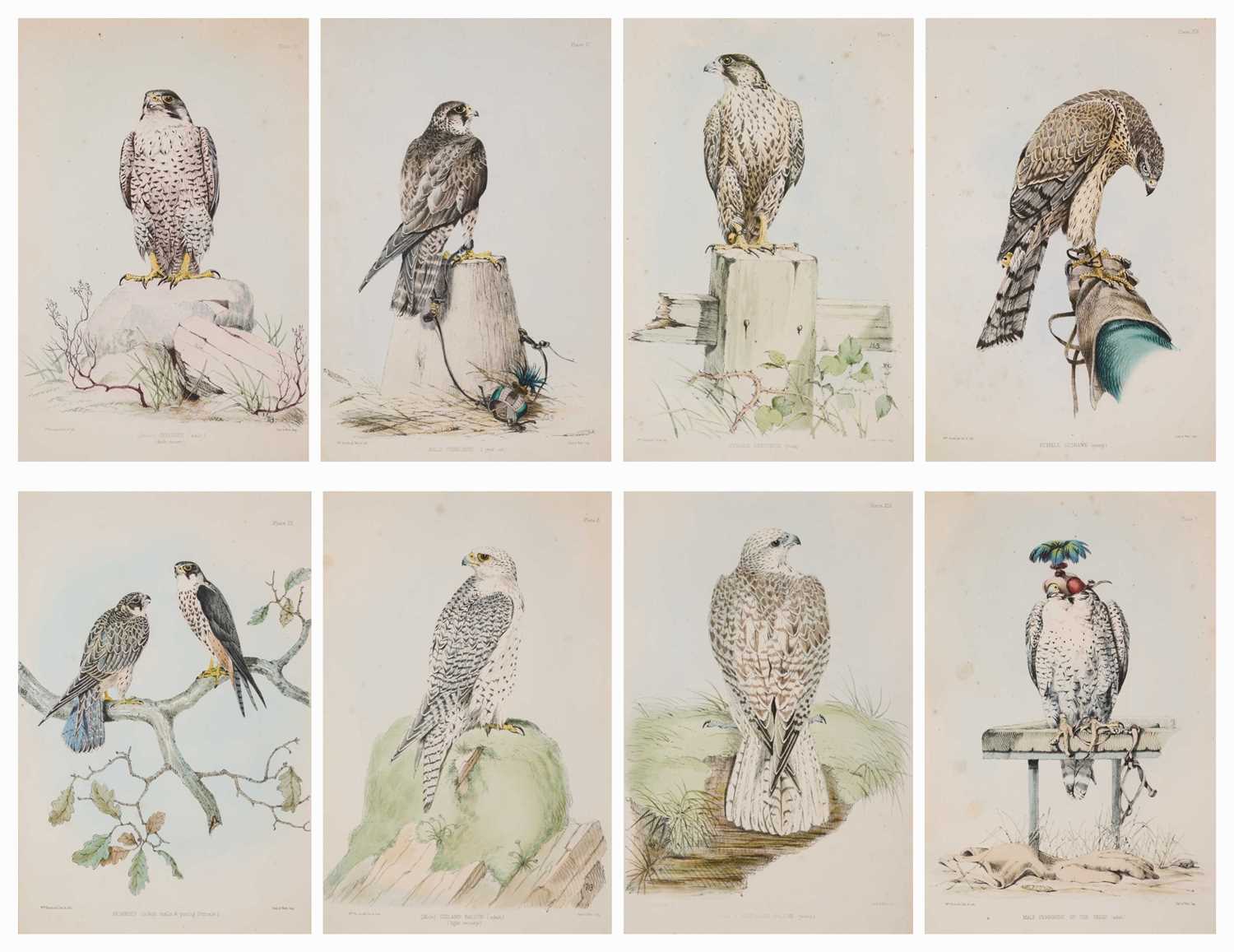 Lot 402 - WILLIAM BRODRICK (BRITISH 1814-1888)