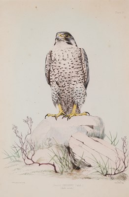 Lot 402 - WILLIAM BRODRICK (BRITISH 1814-1888)