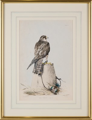 Lot 402 - WILLIAM BRODRICK (BRITISH 1814-1888)