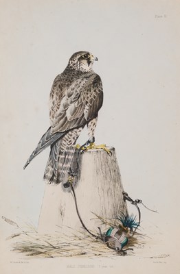 Lot 402 - WILLIAM BRODRICK (BRITISH 1814-1888)