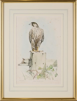 Lot 402 - WILLIAM BRODRICK (BRITISH 1814-1888)