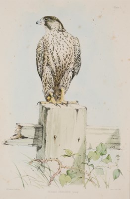 Lot 402 - WILLIAM BRODRICK (BRITISH 1814-1888)