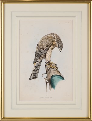 Lot 402 - WILLIAM BRODRICK (BRITISH 1814-1888)