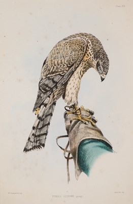 Lot 402 - WILLIAM BRODRICK (BRITISH 1814-1888)