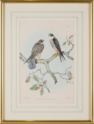 Lot 402 - WILLIAM BRODRICK (BRITISH 1814-1888)