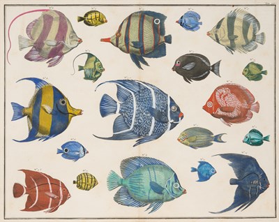 Lot 417 - ATTRIBUTED TO JAKOB VAN DER SCHLEY (DUTCH 1715-1779)