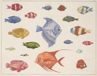Lot 417 - ATTRIBUTED TO JAKOB VAN DER SCHLEY (DUTCH 1715-1779)